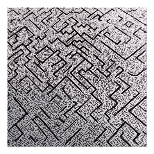 Komplexes Schwarz-Weiß-Labyrinth Fotodruck (Vorne)