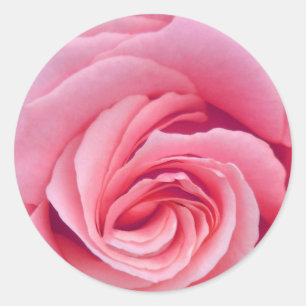 Komplexität der rosa Aufkleber