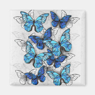 Komposition aus weißen und blauen Schmetterlingen Magnet
