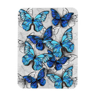 Komposition aus weißen und blauen Schmetterlingen Magnet