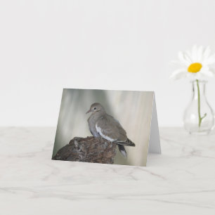 Komprimieren der Dove-Inspiration-Karte Karte