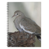 Komprimiertes Dove-Notebook Notizblock (Vorderseite)