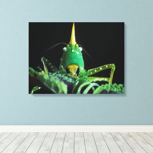 Kon-Headed Grasshopper Leinwanddruck (Insitu (Holzboden))