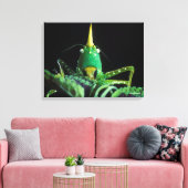 Kon-Headed Grasshopper Leinwanddruck (Insitu (Wohnzimmer))