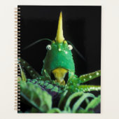 Kon-Headed Grasshopper Planer (Vorderseite)