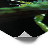 Kon-Headed Grasshopper Poster (Ecke)