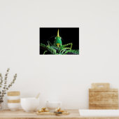 Kon-Headed Grasshopper Poster (Küche)