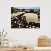 KONA-KAFFEE-BÄNE TROCKNEN IN DER SONNE - HAWAII POSTER (Küche)