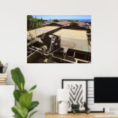 KONA-KAFFEE-BÄNE TROCKNEN IN DER SONNE - HAWAII POSTER (Heimbüro)