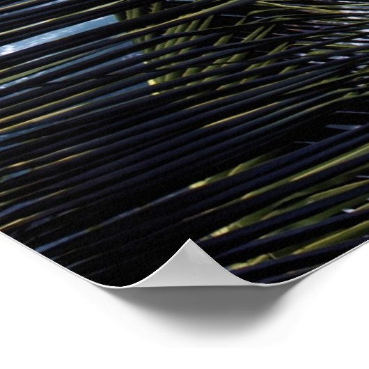 Kona Küste 2 Poster (Ecke)