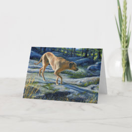 "Kona on the Granite Trail" Karte