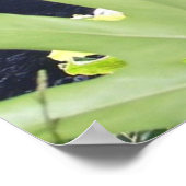 KONA WATERFALL POSTER (Ecke)