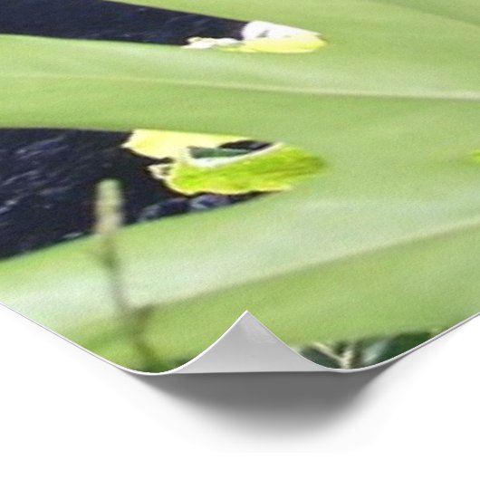 KONA WATERFALL POSTER (Ecke)