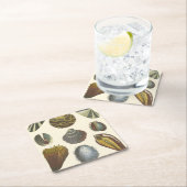 Konchologie-Sammlung Rechteckiger Pappuntersetzer (Vor Ort)