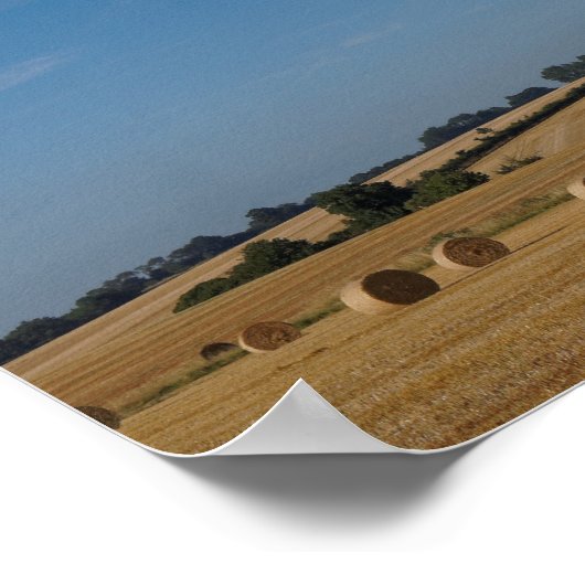 Koncorde zur Erntezeit Poster (Ecke)