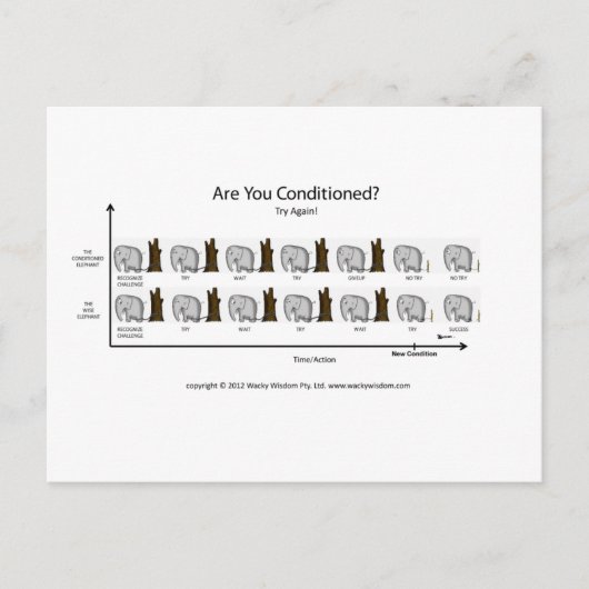 Konditionierter Elefant Postkarte (Vorderseite)