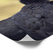 Kondor California Poster (Ecke)