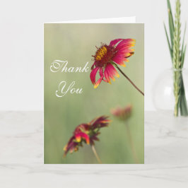 Kone Blume beginnen zu blühen Danke. Dankeskarte