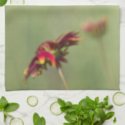 Kone Blume beginnen zu blühen Geschirrtuch (Gefaltet)