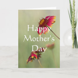 Kone Blume beginnen zu blühen, glückliche Mutter's Karte