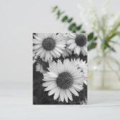 Kone-Blume - Daisy - in Schwarz und Weiß Postkarte (Stehend Vorderseite)