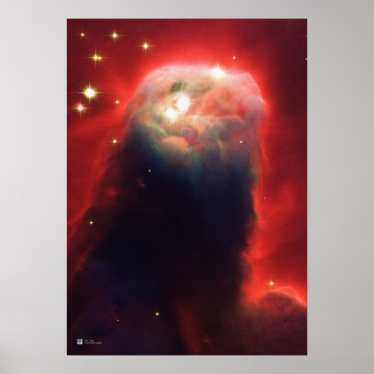 Kone Nebula, NGC 2264 - NASA Hubble Weltraumtelesk Poster (Vorne)