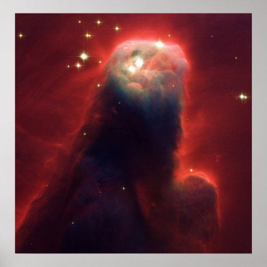 Kone Nebula NGC 2264 vom Hubble Teleskop übernomme Poster (Vorne)
