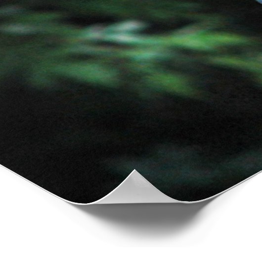 Konferenz der Vögel Poster (Ecke)