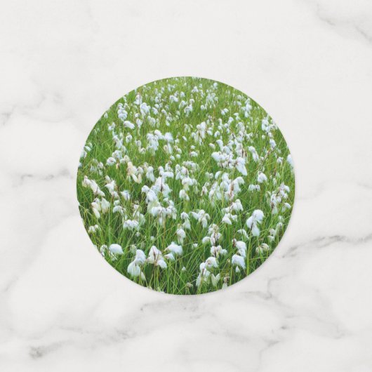 Konfetti (Klein Vorderseite)