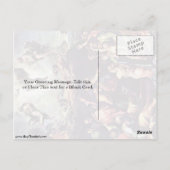 Konfiguration durch Raffael Postkarte (Rückseite)