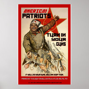 Konfiszierung von Waffen - 2. Änderung Poster