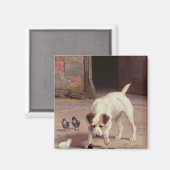 Konfrontation Magnet (Vorderseite/Rückseite)