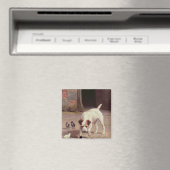 Konfrontation Magnet (In Situ (Geschirrspüler))