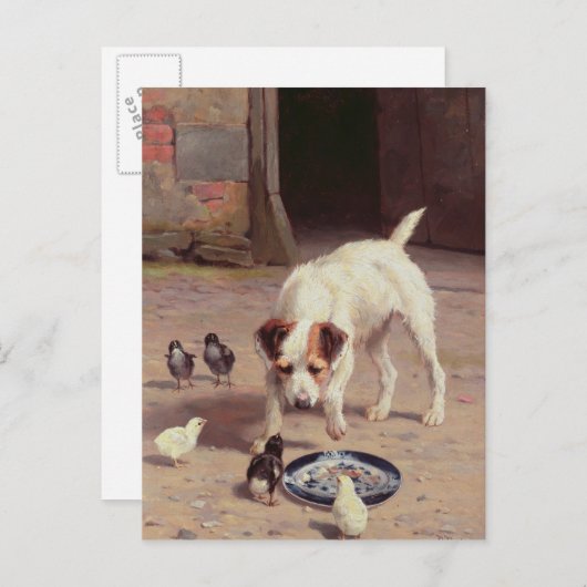 Konfrontation Postkarte (Vorne/Hinten)