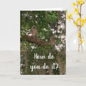 KONFUSIERTE EIGENEN KENNEN NICHT "WIE SIE ES TUN", KARTE (Gelbe Blume)