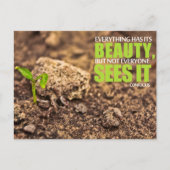 Konfuzius inspirierendes Zitat "Schönheit" Postkarte (Vorderseite)