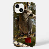 Kongo African Gray auf einem Swing Case Mate iPhon (Rückseite)