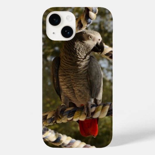 Kongo African Gray auf einem Swing Case Mate iPhon (Rückseite)