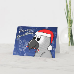 Kongo African Gray Christmas Card Feiertagskarte