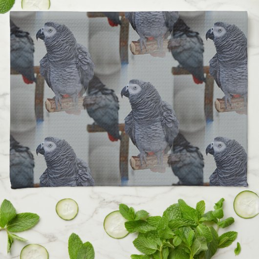Kongo African Gray Parrot in Mirror Geschirrtuch (Gefaltet)
