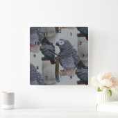 Kongo African Gray Parrot in Mirror Quadratische Wanduhr (Zuhause)