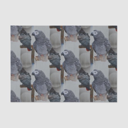 Kongo African Gray Parrot in Mirror Seidenpapier (Vorderseite)