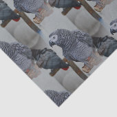 Kongo African Gray Parrot in Mirror Seidenpapier (Ausschnitt)