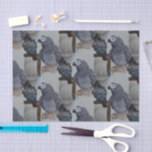 Kongo African Gray Parrot in Mirror Seidenpapier (Handwerk)