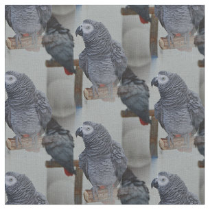 Kongo African Gray Parrot in Mirror Stoff