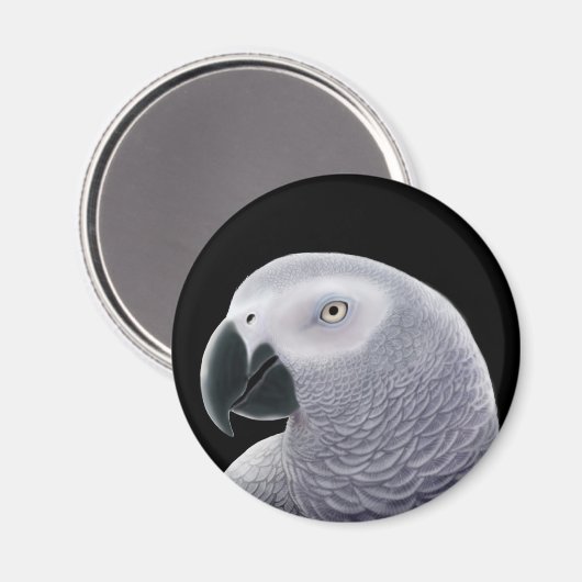 Kongo African Gray Parrot Magnet (Vorderseite/Rückseite)