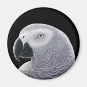Kongo African Gray Parrot Magnet (Vorne)