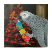Kongo African Gray Parrot Merry Christmas Tree Fliese (Vorderseite)