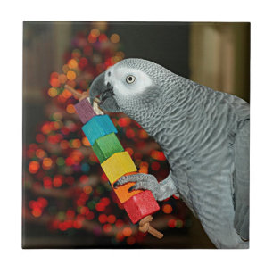 Kongo African Gray Parrot Merry Christmas Tree Fliese