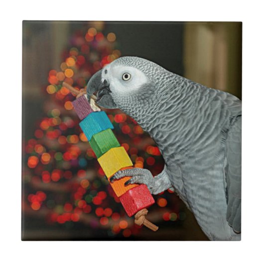 Kongo African Gray Parrot Merry Christmas Tree Fliese (Vorderseite)